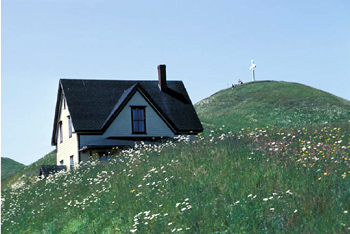 Blastech will help the homeowner clear the way for new additions.
